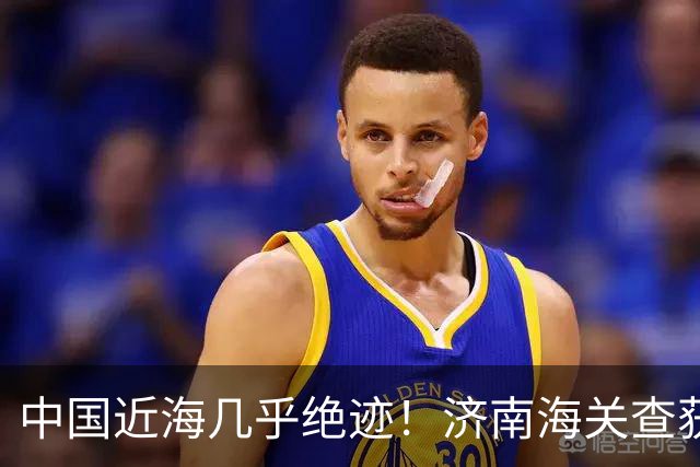 中国近海几乎绝迹！济南海关查获17只手镯，竟是由极危'国宝'制成