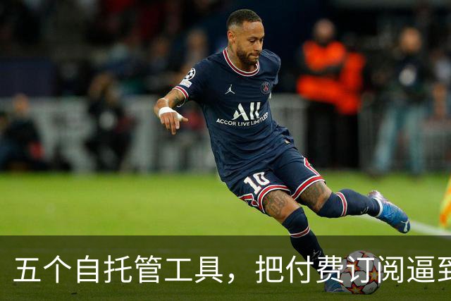 五个自托管工具，把付费订阅逼到墙角