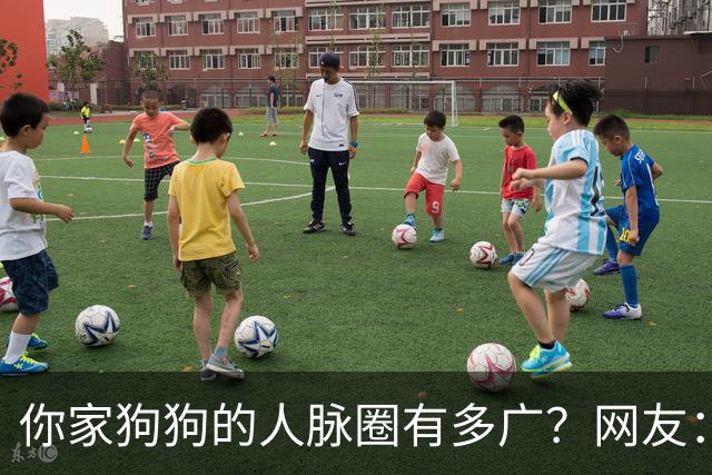你家狗狗的人脉圈有多广？网友：我也是只认识狗不认识狗主人