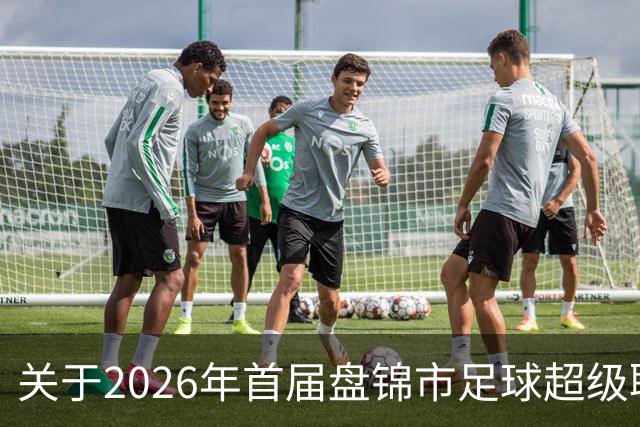 关于2026年首届盘锦市足球超级联赛闭幕式期间公共交通服务保障的通告