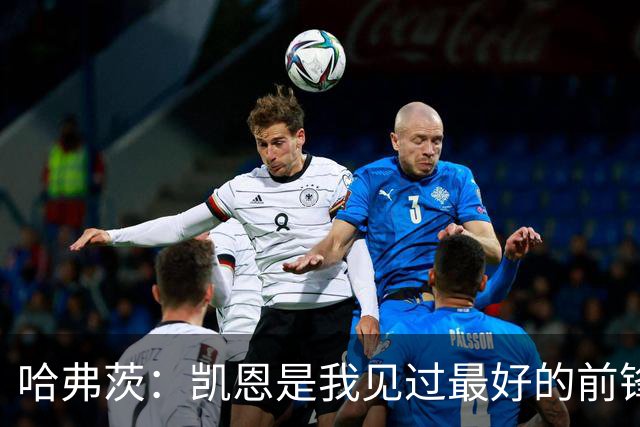 哈弗茨：凯恩是我见过最好的前锋之一；谁进球并不重要
