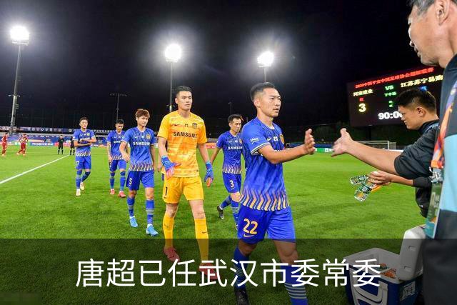 唐超已任武汉市委常委