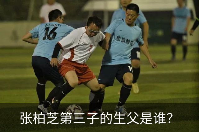张柏芝第三子的生父是谁？