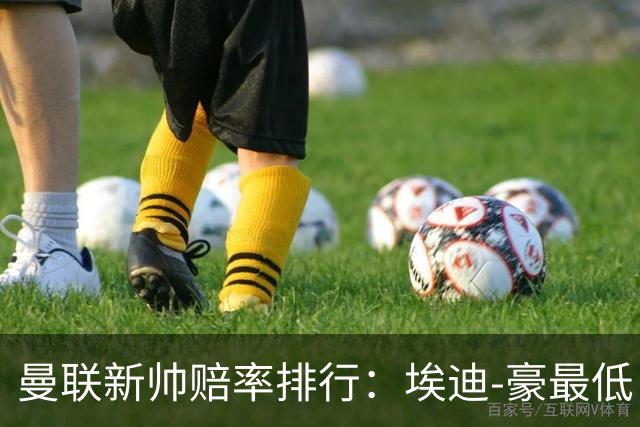 曼联新帅赔率排行：埃迪-豪最低，纳格尔斯曼、孔蒂其次