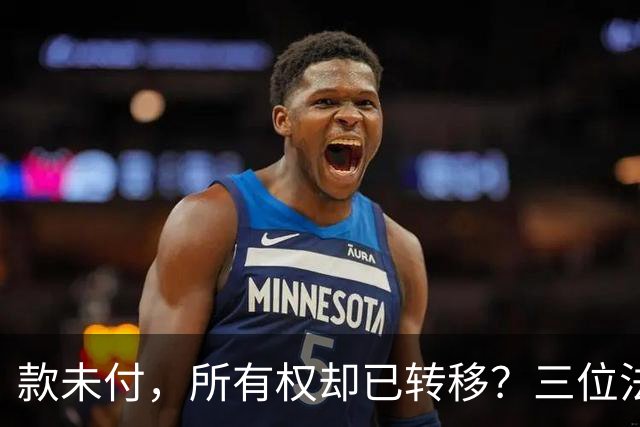 款未付，所有权却已转移？三位法学专家提出异议，陕西1200万元原煤追偿案申请再审