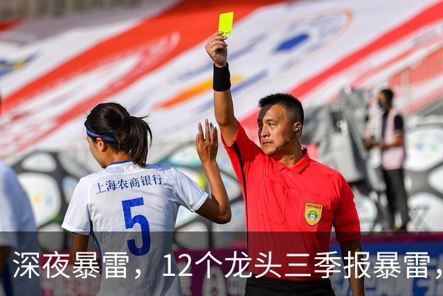 深夜暴雷，12个龙头三季报暴雷，龙头暴降738%，只有8个加速增长