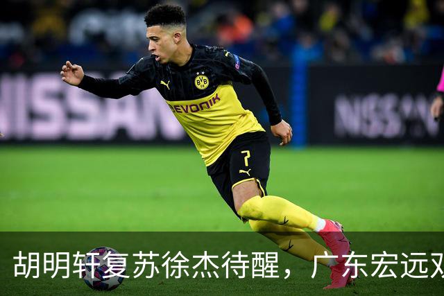 胡明轩复苏徐杰待醒，广东宏远双子星这把“钥匙”不能只交一半