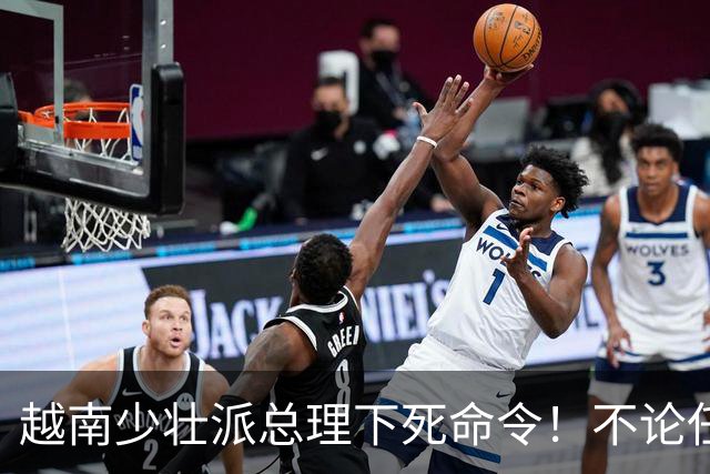 越南少壮派总理下死命令！不论任何情况，全国4年之内不准停电