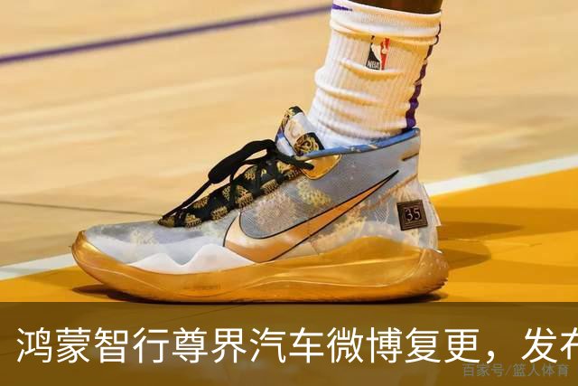 鸿蒙智行尊界汽车微博复更，发布S800典藏大观车型组图