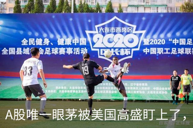 A股唯一眼茅被美国高盛盯上了，业绩暴增12962%，周五量能突然放大